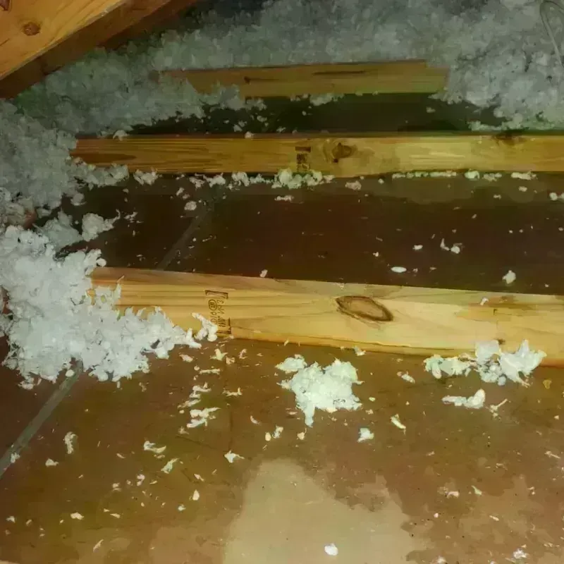 Attic Water Damage in Greeley, CO