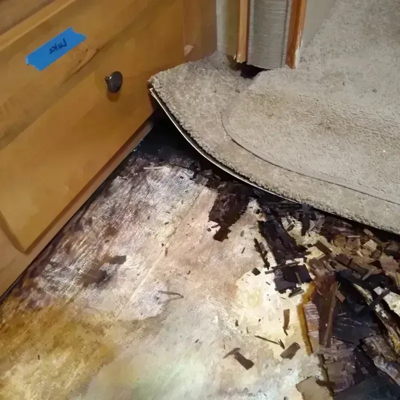 Best Wood Floor Water Damage Service in Greeley, CO